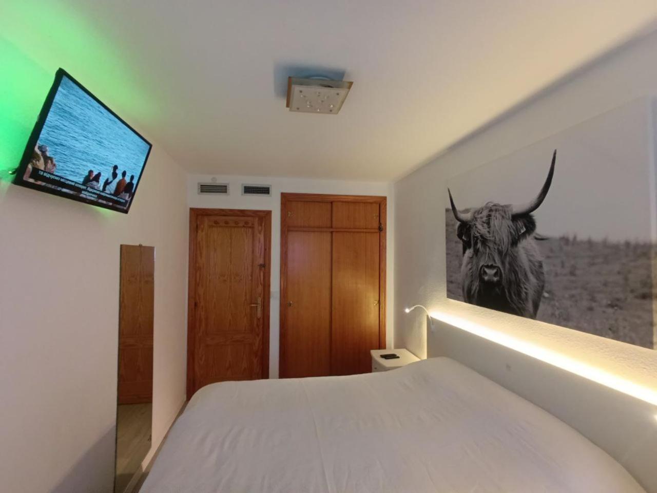 Apartment To Rent In Costa Blanca Torrevieja Kültér fotó